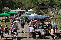 Dimanche à la Ferme